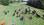 25-cows2