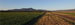 25-Narrabri_Field8