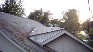 roofinspect2