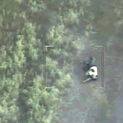 ta_search_rescue-500x500
